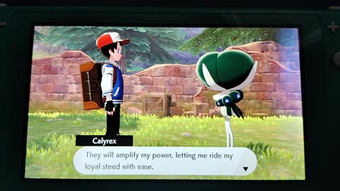 Pokemon Sword:Planting The Seeds