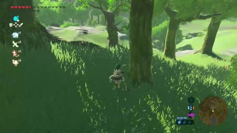 Counterpoints to Breath of the Wild Criticisms