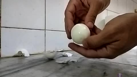 Re.covering an egg