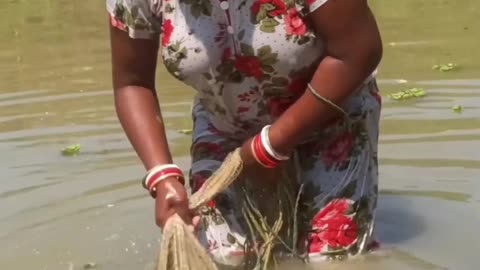 Village women fishing cham