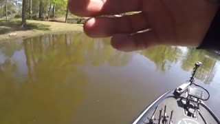 GIANT BASS FOUND in MUDDY CREEK! BED FISHING with JIGS