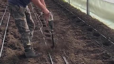 Holes for planting plants with a drill