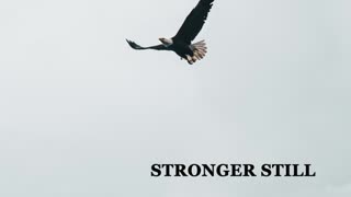 Pray USA, 3/15/23 Stronger Still