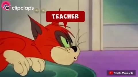 FUNNY CAT TEACHER