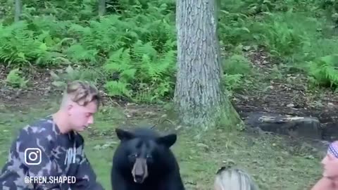 Picnic With A Bear