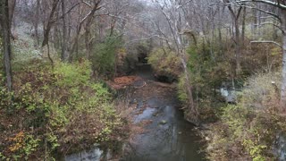 Exploring Massie's Creek Gorge Ohio