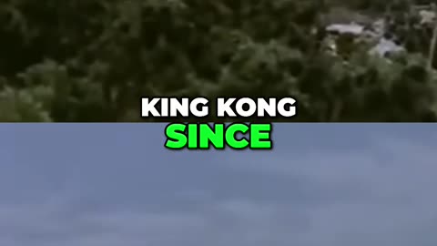 The Evolution of King Kong's Height: From 100 to 435 Feet Tall