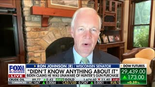 Media coverage of Hunter Biden investigation 'corrupt and complicit': Sen. Ron Johnson