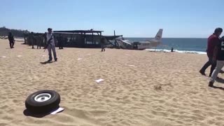Plane crashes into Mexico beach turtle haven