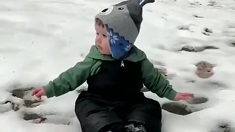 Playing with a dog in the snow