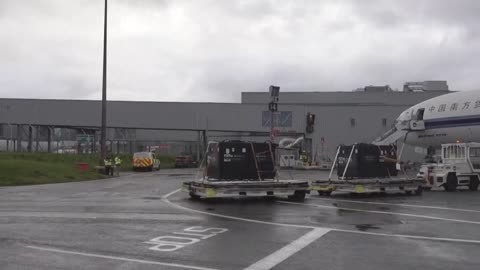 Edinburgh Zoo pandas loaded onto plane for their return to China