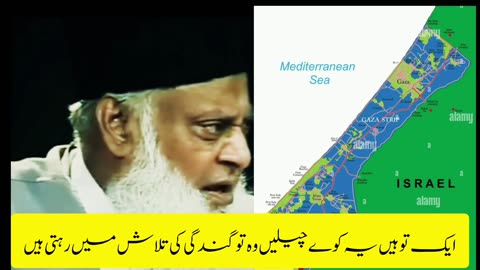 Future predictions of region and islam