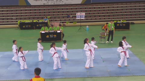 Taekwondo