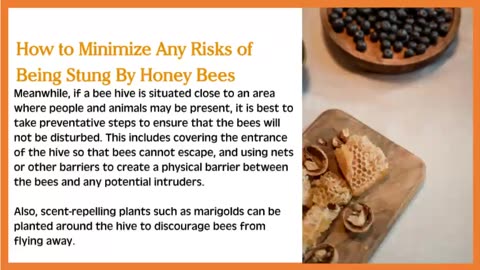 Are Your honey Bees Aggressive?