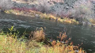 Central Oregon – Steelhead Falls – Walking Down to Crooked River