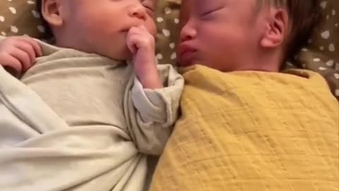 Lovely and Funny Twins