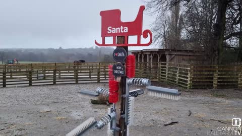 Prince and Jeffrey's troublesome antlers - Cannon Hall Farm