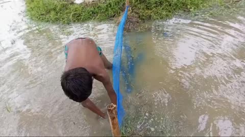 Amazing 3little boy fishing video in rainy day