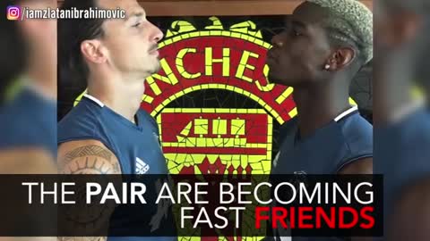 Manchester United BROMANCE Pogba and Zlatan