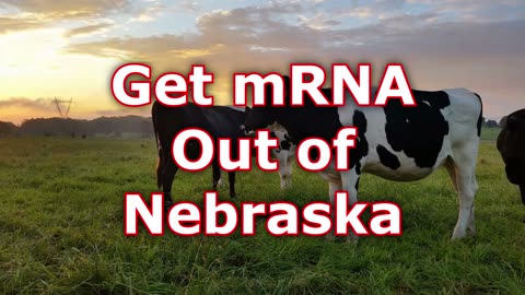 Get the mRNA Out of Nebraska Food