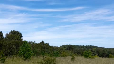 Chemtrailing - This is the result!