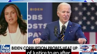 Tulsi Gabbard on Biden crime family