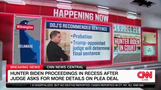 CNN legal analyst said Hunter's deal was 'fairly rare'