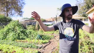 Start a FARM in your BACKYARD | Small Scale Regenerative Farming with Nature's Always Right