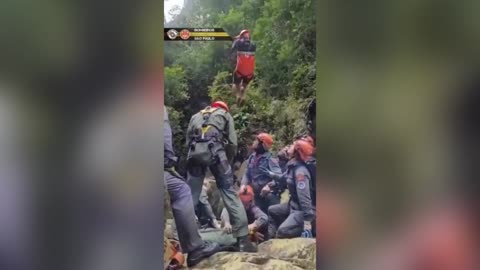 Lost Hiker Found Alive After Three Days In Brazilian Forest