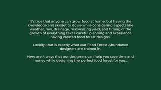 4 important things to consider when designing a food forest