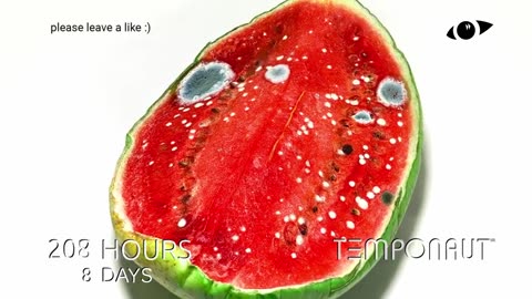 Watermelon Timelapse Rotated