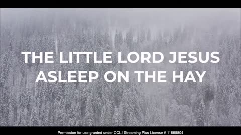 “Should I or Shouldn't I? Does it Really Matter?”, Hebrews 10:19–31, December 3, 2023