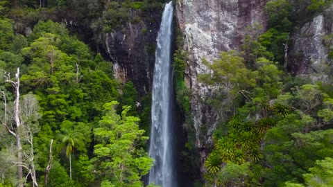 Sleep Better with Soothing Waterfall Sound _ White Noise for Sleeping or Meditating _ 1 Hour