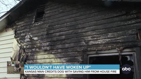 Hero dog saves owner
