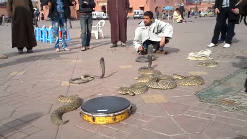 Snake Charmers in Marrakesh, Morocco