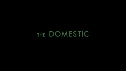 The Domestic | Video Trailer 2022