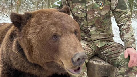 🐻🇷🇺 Ukraine Russia War | Tank Alyosha Crew's Unique Bond | Alexey Neustroev and His Pet Bear | RCF