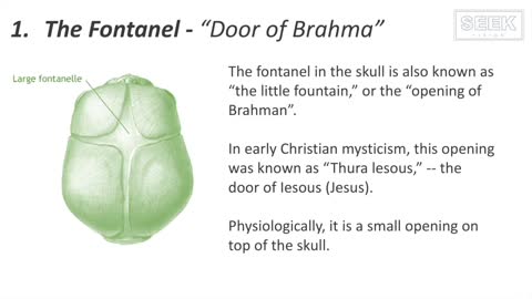 LIGHT (Electromagnetic Energy) enters through your Door of Jesus or Brahma