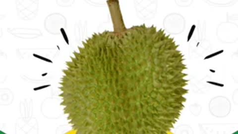 Pelbagai varieti durian Malaysia
