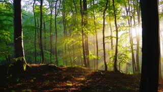 Healing Sounds: Morning Meditation for Gratitude. Raise your vibrations and relax