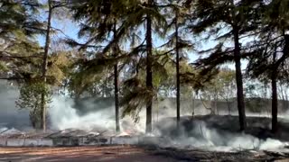 Fire burns in Rome archaeological park