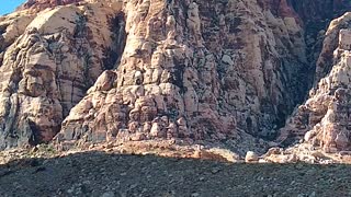 RED ROCK CANYON PINE CREEK TRAIL LAS VEGAS