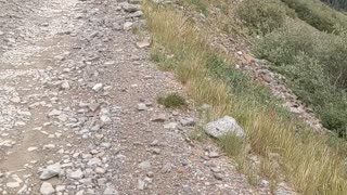 Ophir pass Colorado