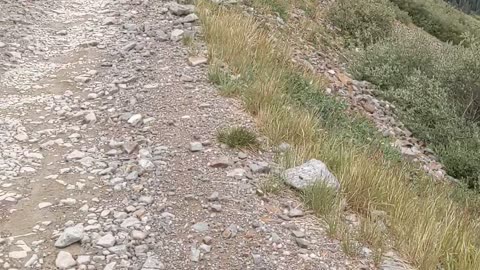 Ophir pass Colorado