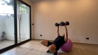 Chest Fly Incline - Dumbbells