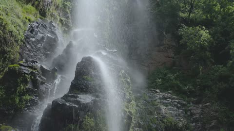 water fall in fores