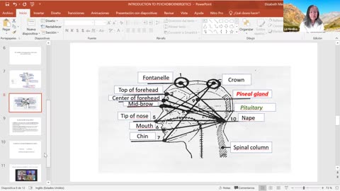 Introduction to Energy Work: Psychobioenergetics (PBE)