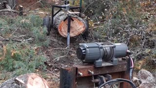 logging pine pt2
