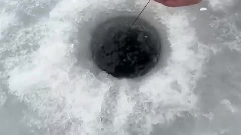 Pike almost spools out Tip-Up reel! #icefishing