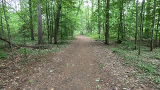 Hiking & Walking in the Greenbelt Trails Of Ottawa - The Sand Dunes Of Pinhey Forest